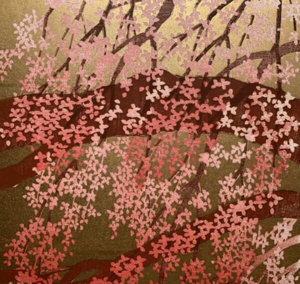 weeping cherry tree 14