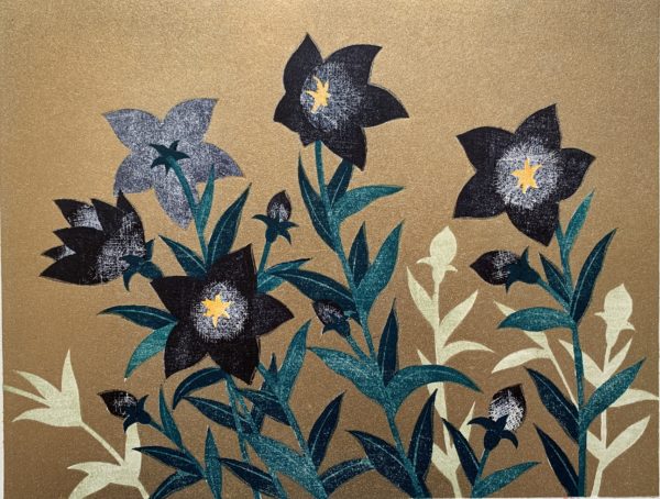 Chinese bellflower 1