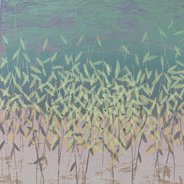 “Gentle d’eau D” edition 10/50