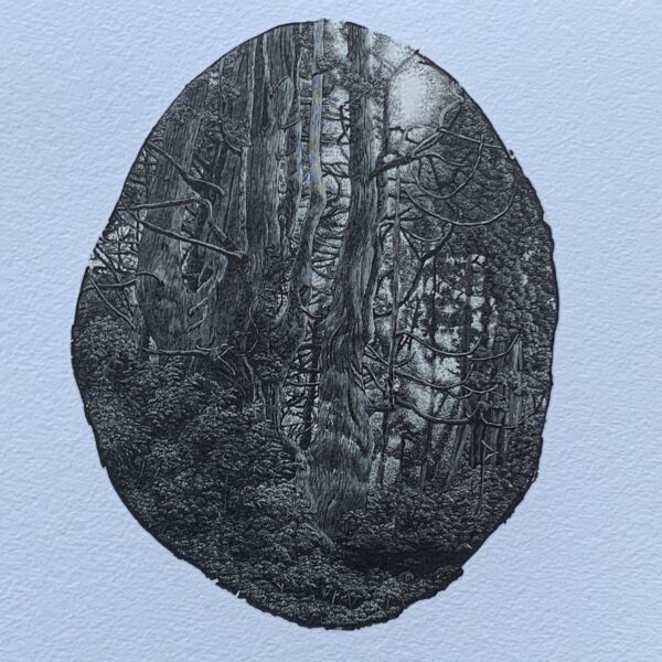 Ryota Saito: “Breath”