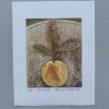 Takashi Hirose: “Avocado” edition:  4/7