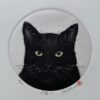 Hiroto Norikane: “Black cat-10”
