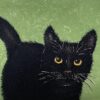 Hiroto Norikane: “Black cat 12”