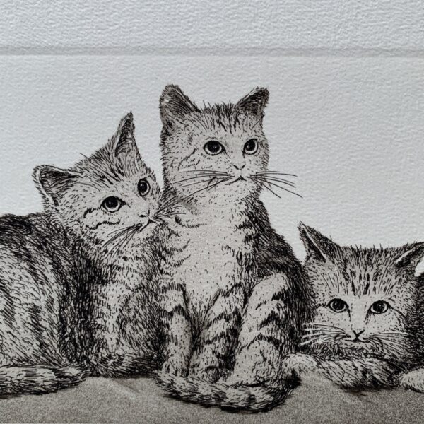 Hiroto Norikane: “Brothers”
