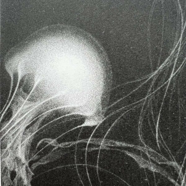 Riko Maeshiro:”Emerging”