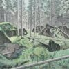 Junichi Mibugawa: “Forest of Fallen Trees”