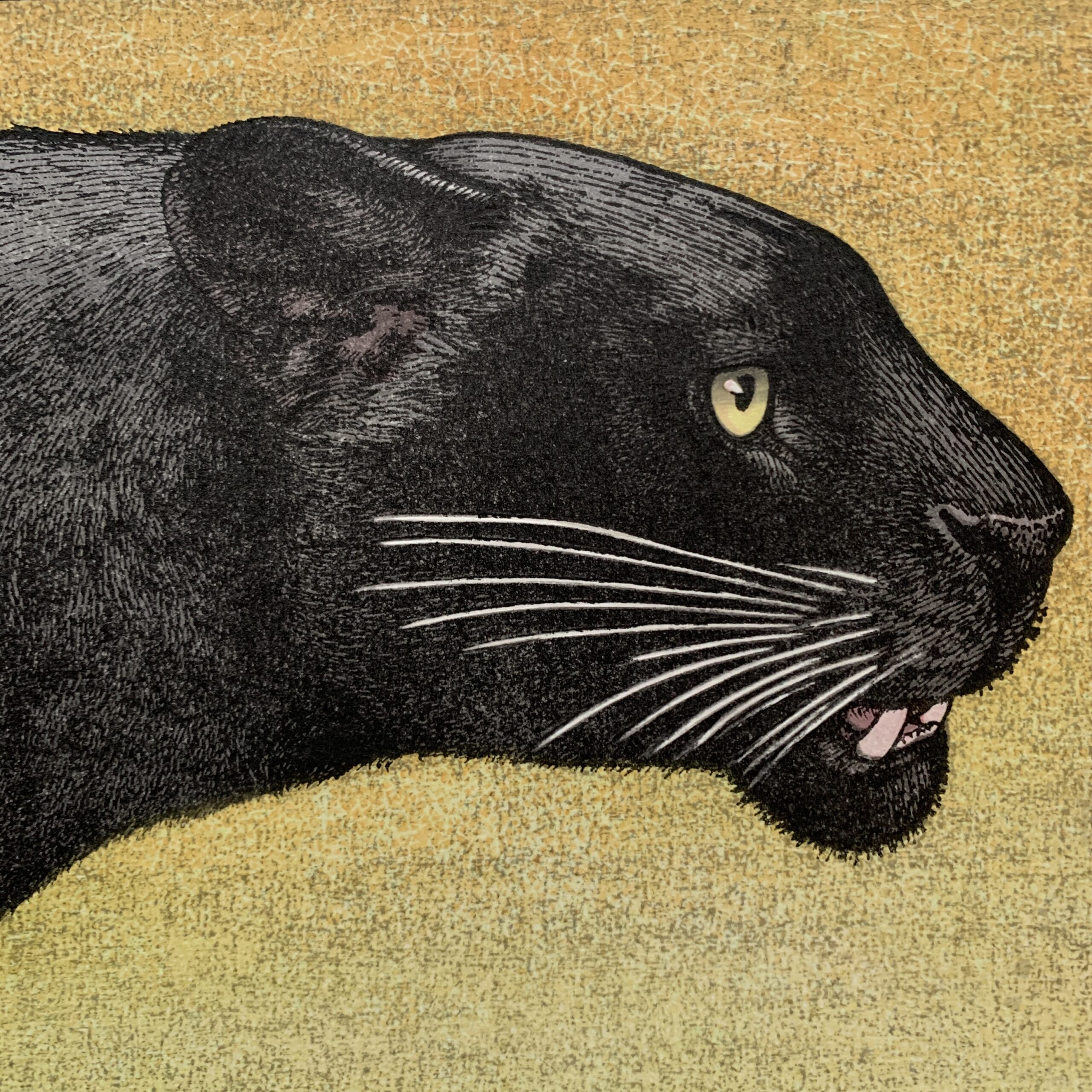 Toshi Yoshida: Black Panther 2