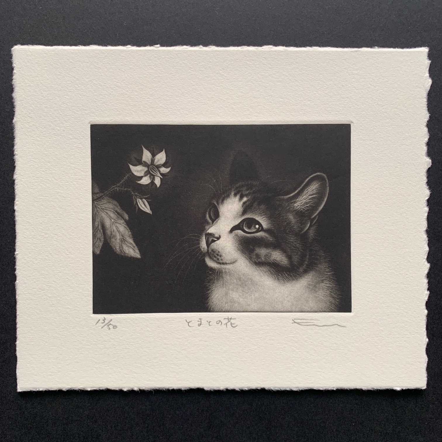 Emi Sato: “Tomato flower”