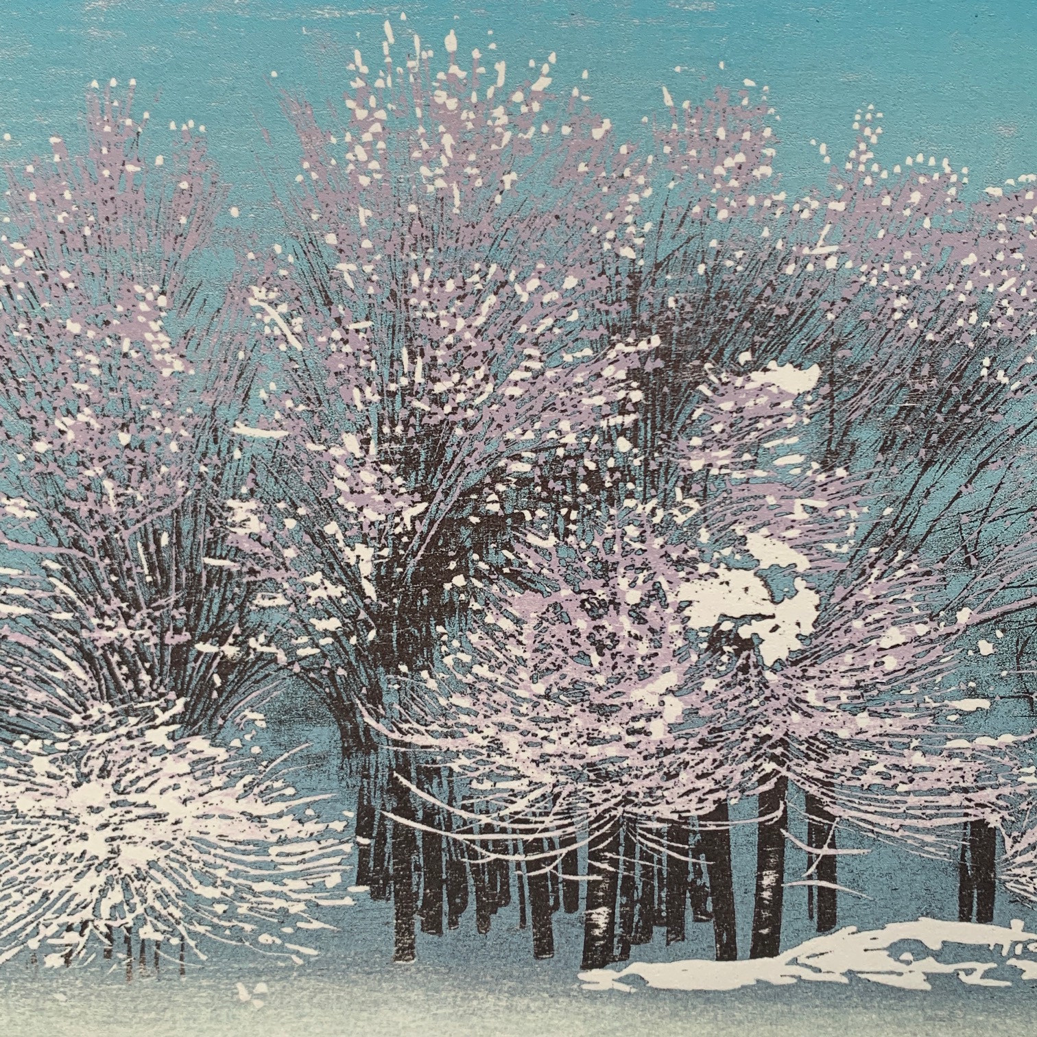 Takashi Hirose: Forest in snow