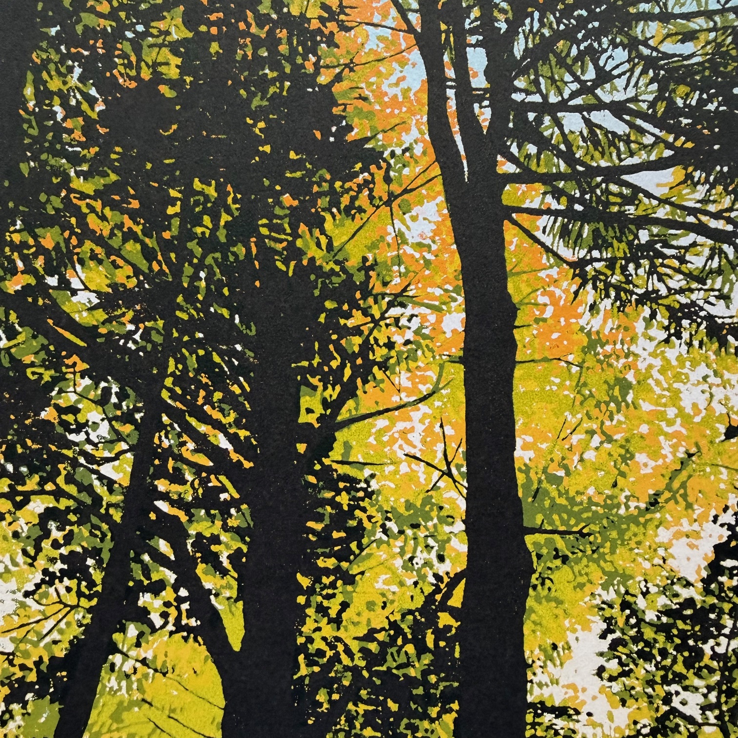 Hidemi Momma – Autumn colors