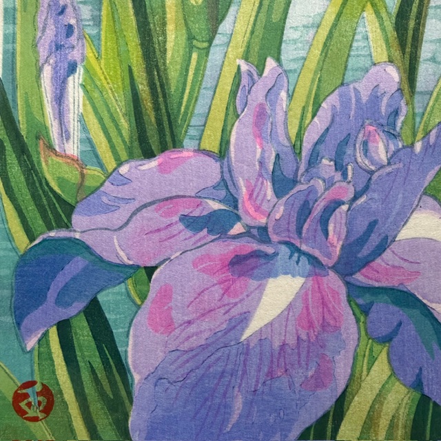 Junichi Mibugawa: “Iris”