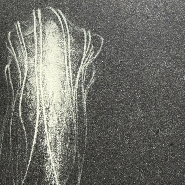 Riko Maeshiro: Specimen of memory