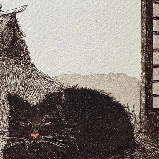 Hiroto Norikane: Briefly