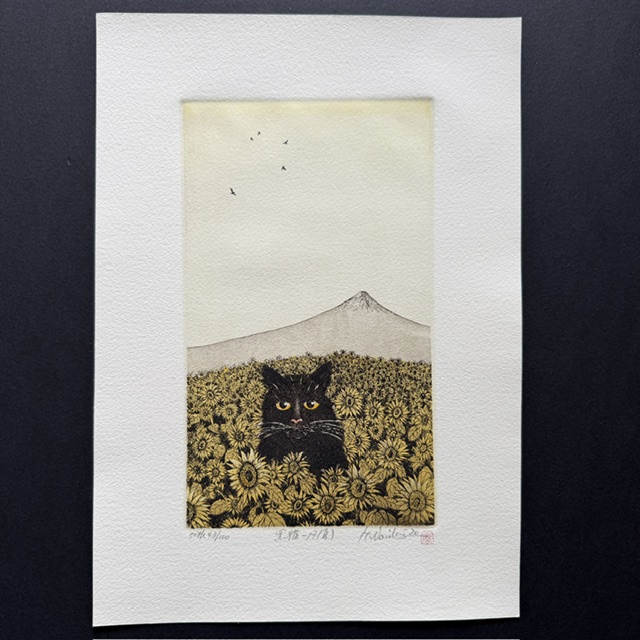 Hiroto Norikane: “Black cat 17”