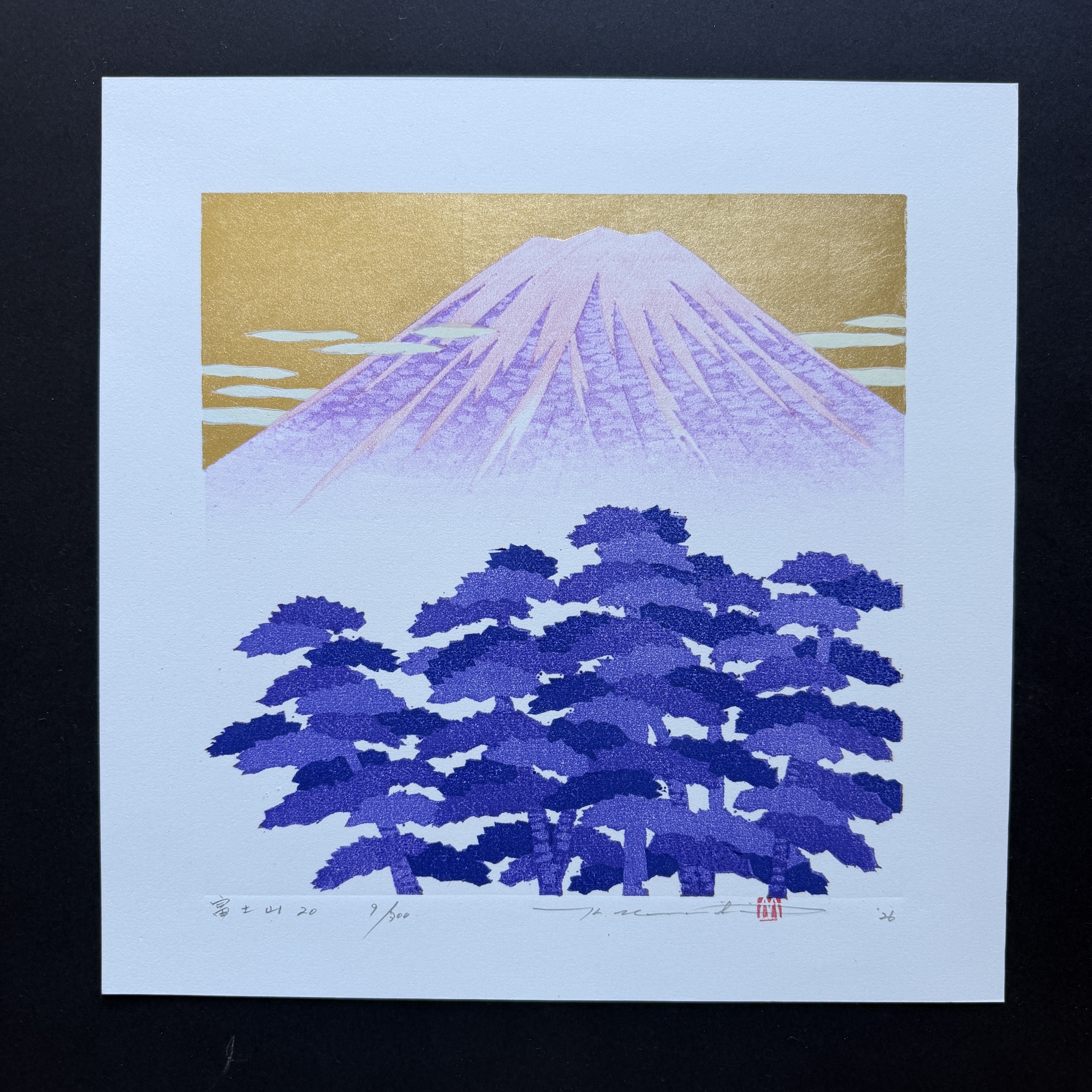 Hajime Namiki: Fuji 20