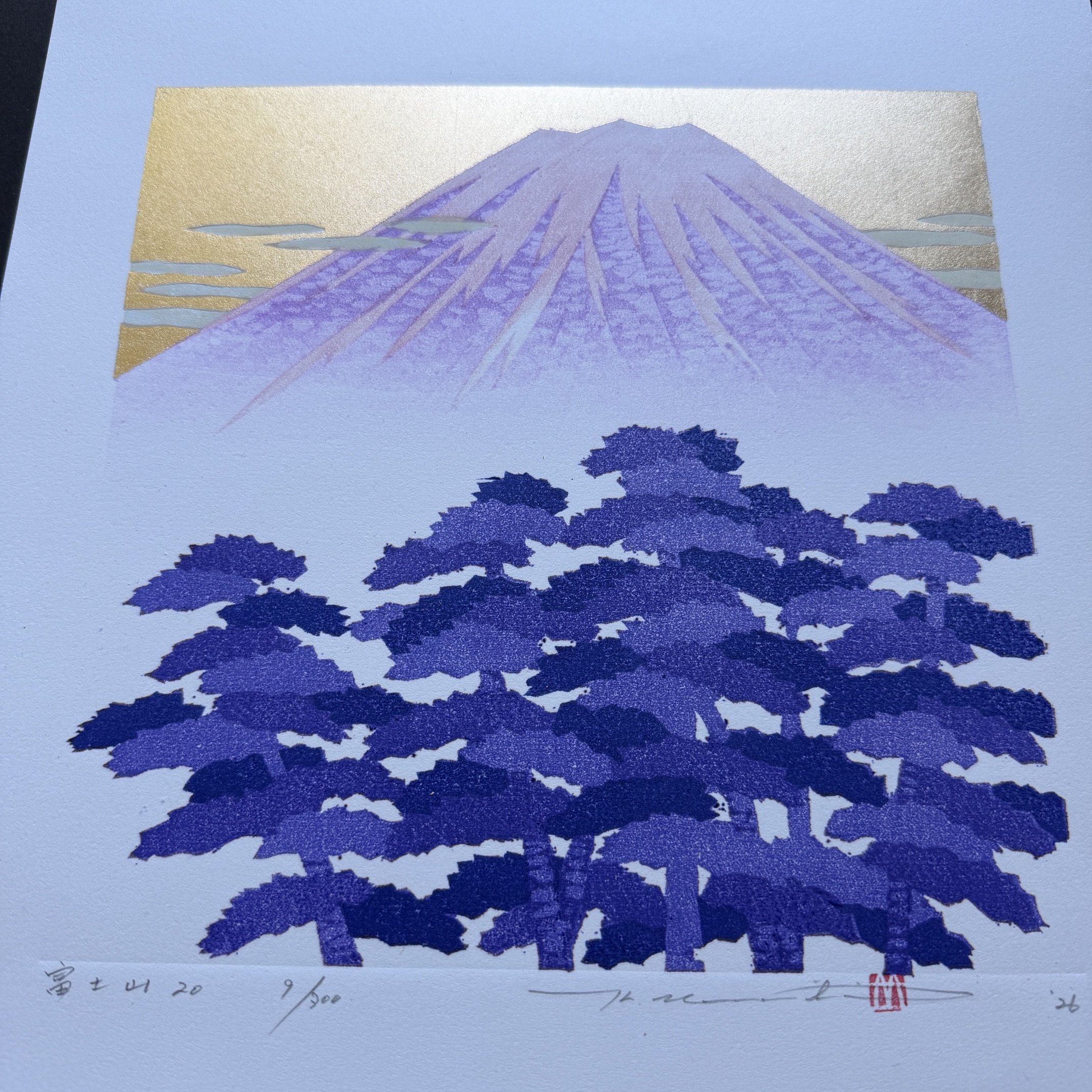 Hajime Namiki: Fuji 20 Hajime Namiki: Fuji 20